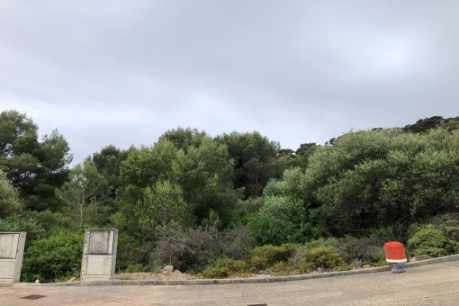 Vistas del terreno